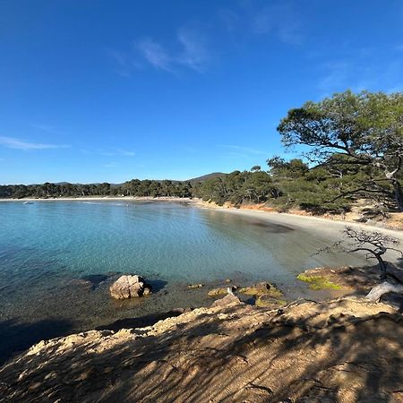 Appartement Plage Piscine Et Tennis Inclus La Londe-les-Maures Eksteriør billede