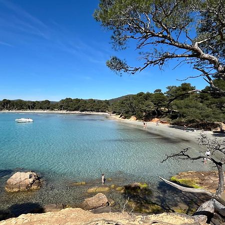 Appartement Plage Piscine Et Tennis Inclus La Londe-les-Maures Eksteriør billede