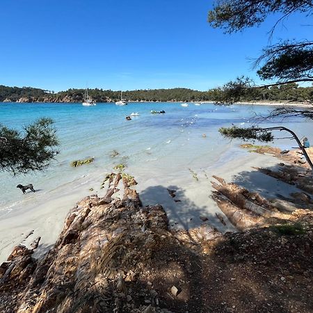 Appartement Plage Piscine Et Tennis Inclus La Londe-les-Maures Eksteriør billede