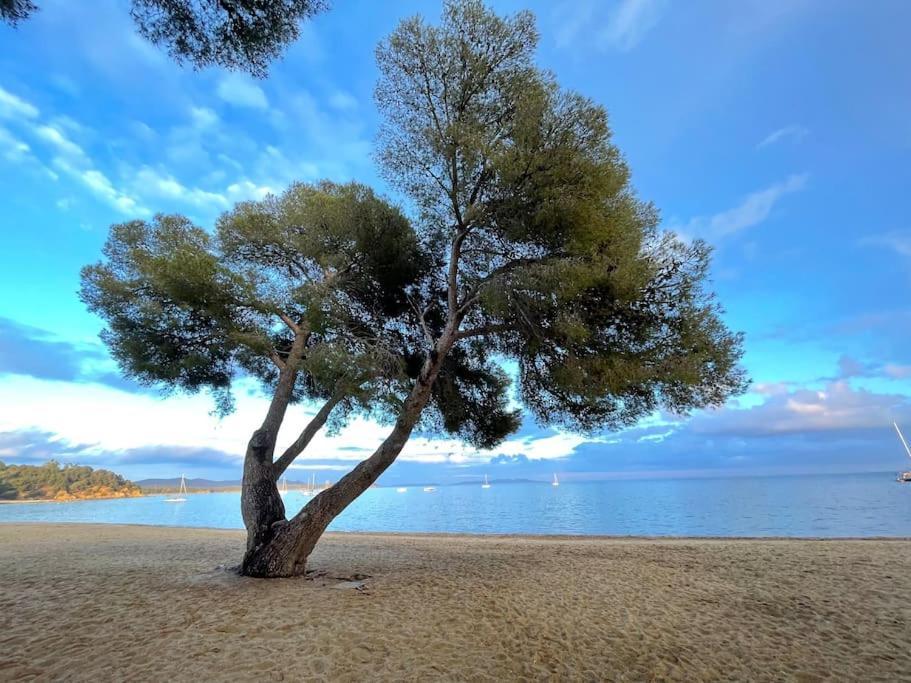 Appartement Plage Piscine Et Tennis Inclus La Londe-les-Maures Eksteriør billede
