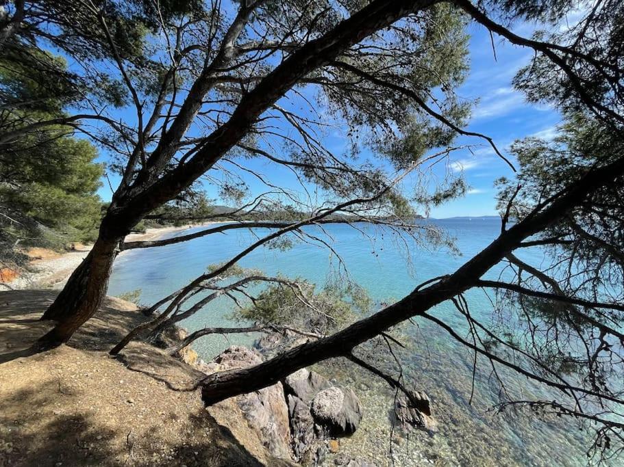 Appartement Plage Piscine Et Tennis Inclus La Londe-les-Maures Eksteriør billede