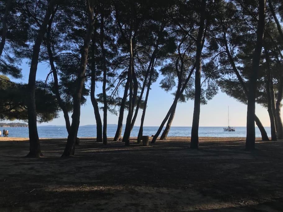 Appartement Plage Piscine Et Tennis Inclus La Londe-les-Maures Eksteriør billede