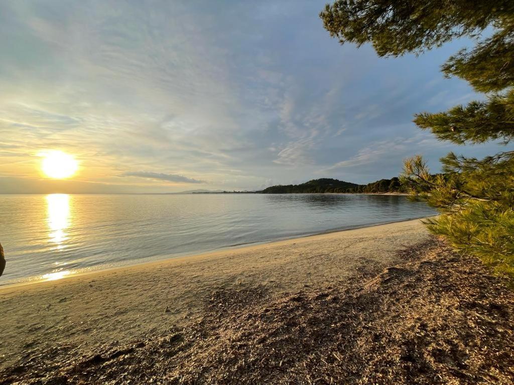 Appartement Plage Piscine Et Tennis Inclus La Londe-les-Maures Eksteriør billede