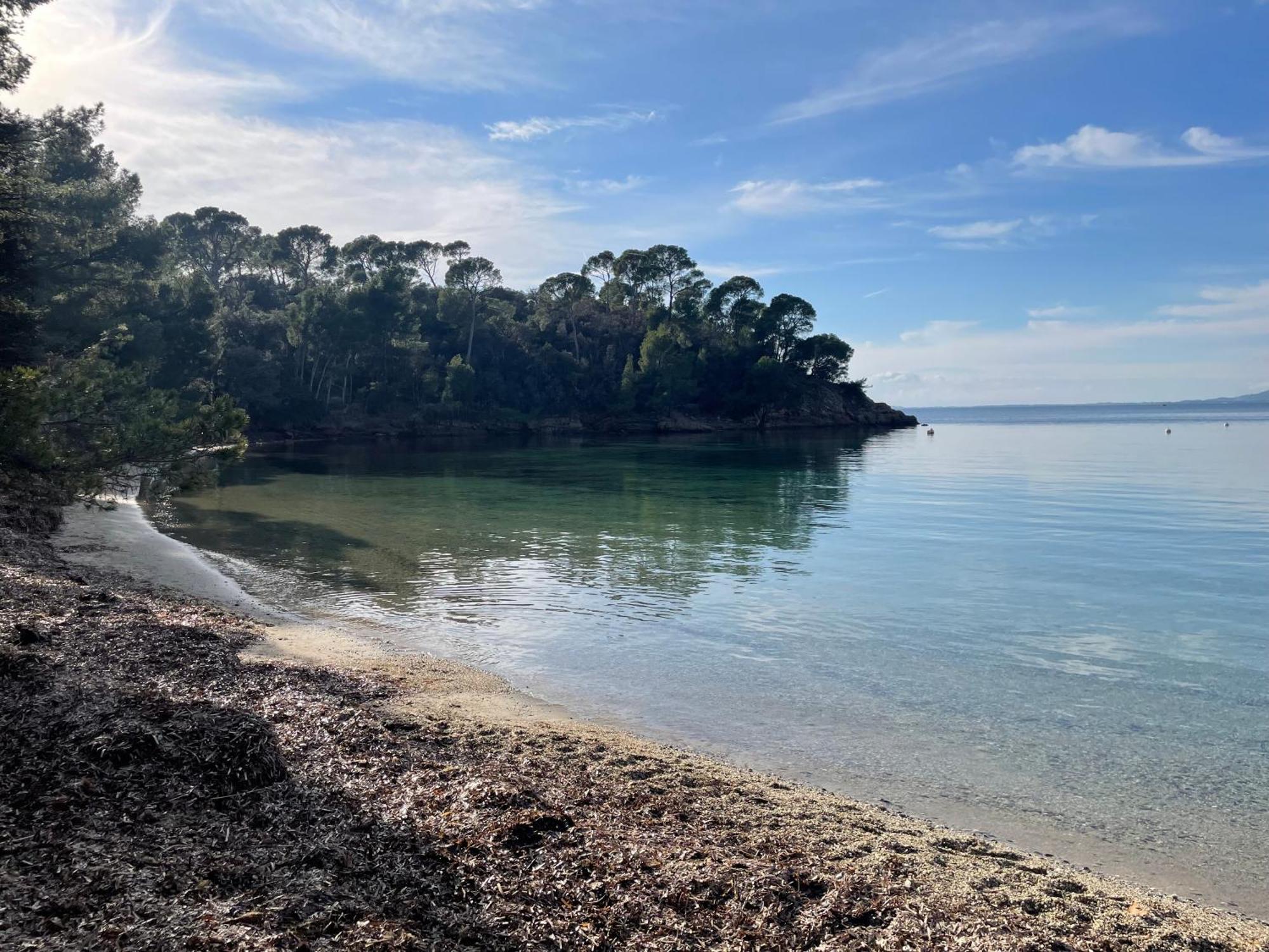 Appartement Plage Piscine Et Tennis Inclus La Londe-les-Maures Eksteriør billede
