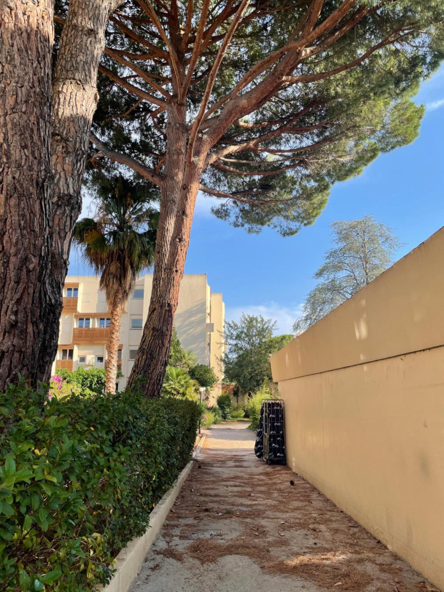 Appartement Plage Piscine Et Tennis Inclus La Londe-les-Maures Eksteriør billede