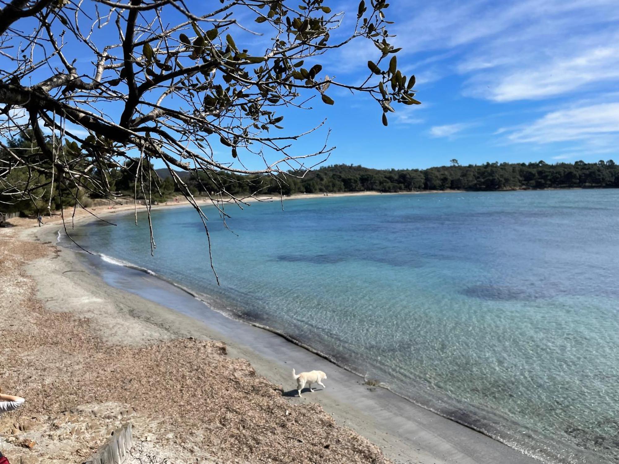 Appartement Plage Piscine Et Tennis Inclus La Londe-les-Maures Eksteriør billede