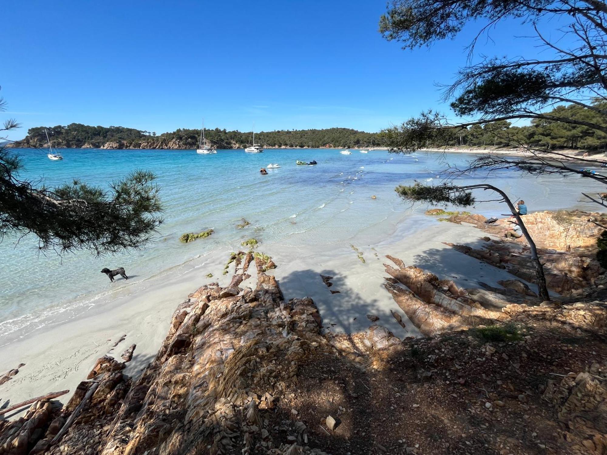 Appartement Plage Piscine Et Tennis Inclus La Londe-les-Maures Eksteriør billede